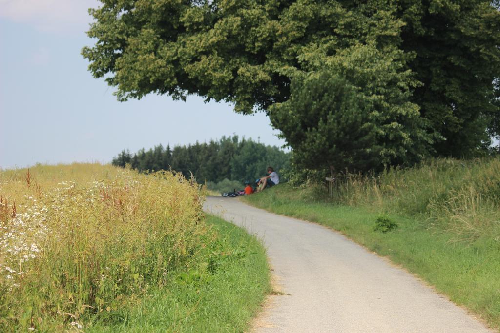 Penzion Keramika Jindřichŭv Hradec Exteriör bild